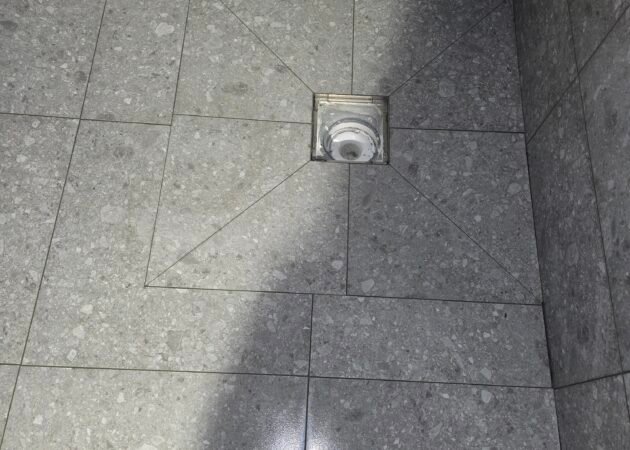 20241013_120530